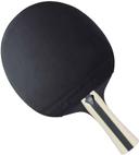 Stiga Trust 2 Star Table Tennis Bat