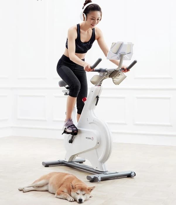 Xiaomi YESOUL Spinning Bike Fitness Equipment M1