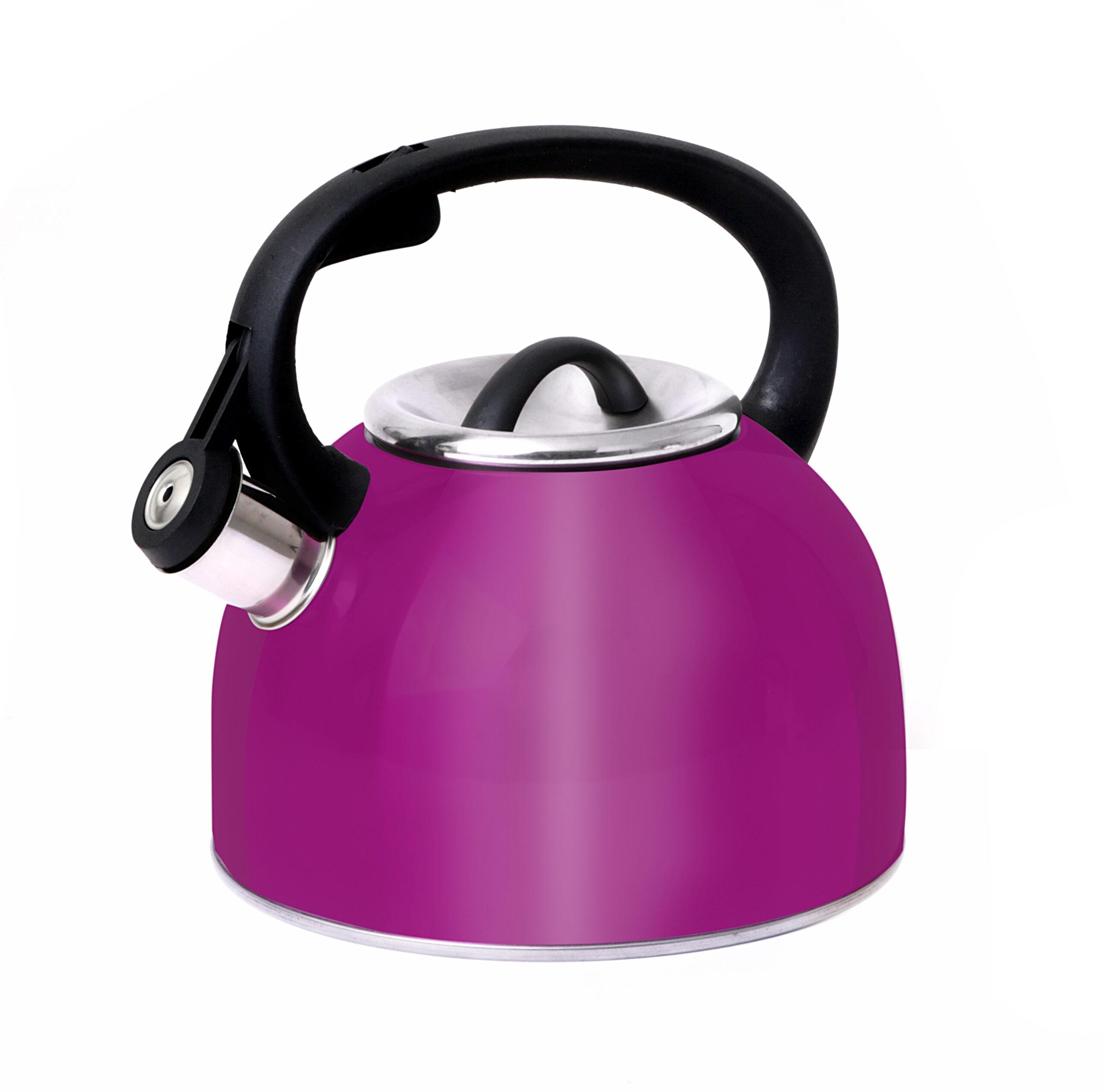 Royalford 2.5L Stainless Steel Whistling Kettle - Portable Whistling Tea Kettle with Heat Resistant Handle | Ergonomic Pouring Spout | Ideal for Tea, Coffee, Latte, Cappuccino & More