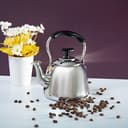 ابريق شاي ستانلس ستيل 1.5 لتر Royalford 1.5L Stainless Steel Whistling Kettle - 164955