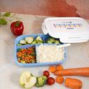 Royalford Air Tight Lunch Box - Compact Leak-Proof & Airtight Lid Rectangular Food Storage Container - SW1hZ2U6MzkxMjQ5