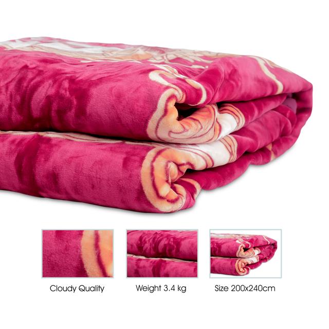 لحاف (بطانية) 200×240 سم PARRY LIFE 2 PLY Raschel Blanket - SW1hZ2U6NDE3Mzcy