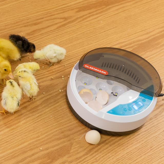 فقاسة البيض الرقمية Digital Egg Incubator for Chicken Poultry Hatcher - Olsenmark