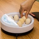 فقاسة البيض الرقمية Digital Egg Incubator for Chicken Poultry Hatcher - Olsenmark