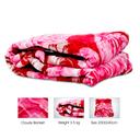 PARRY LIFE Blanket, 2 PLY 2 SideCloud Blanket - for Bedroom Sofa Couch - Super Soft Fluffy Warm Solid Bed Throws for Sofa - Napping Blanket, Throws for Sofa Bed - SW1hZ2U6NDA3ODI2