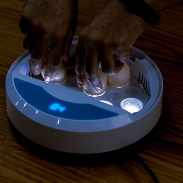 فقاسة البيض الرقمية Digital Egg Incubator for Chicken Poultry Hatcher - Olsenmark