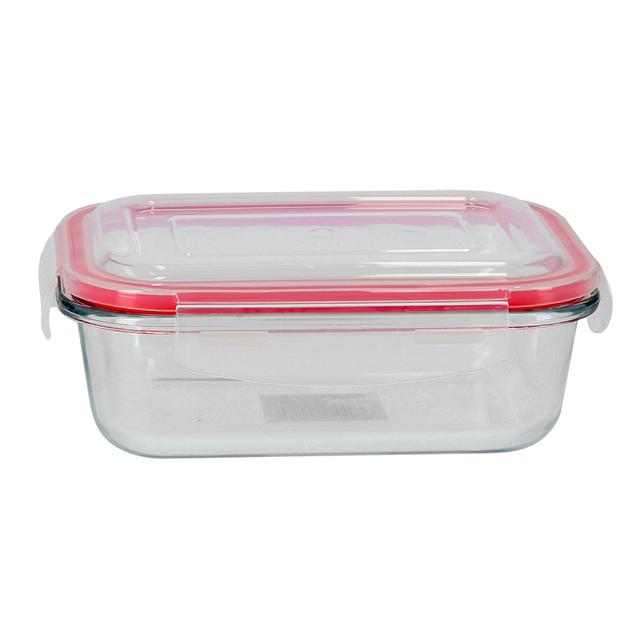 Delcasa 400Ml Brs Rectangle Glass Airtight Container | Jomla.ae