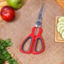 Delcasa DC1841 Kitchen Scissor with Designed Handle - Multi-Purpose Stainless Steel Home & Kitchen Utility Shear for Chicken, Fish, Meat, Vegetables, Herbs | All-in-One Scissor, Nut Cracker - SW1hZ2U6Mzk1ODYy