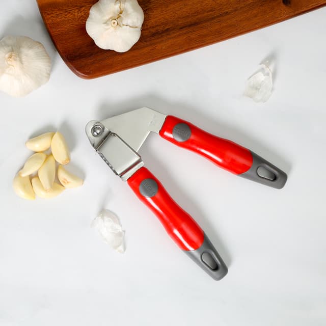Delcasa Stainless Steel Garlic Press With PP Handle, DC1932 | Professional Grade | Easy Clean | Dishwasher Safe & Rustproof | Elegant Design | Hassle Free Construction
