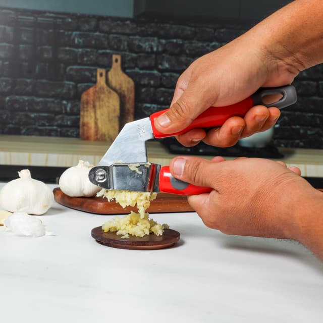 Delcasa Stainless Steel Garlic Press With PP Handle, DC1932 | Professional Grade | Easy Clean | Dishwasher Safe & Rustproof | Elegant Design | Hassle Free Construction