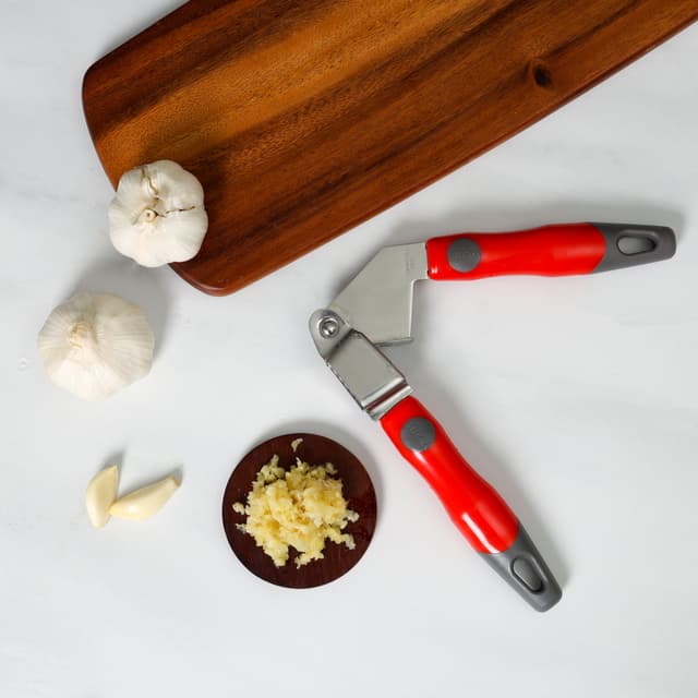 Delcasa Stainless Steel Garlic Press With PP Handle, DC1932 | Professional Grade | Easy Clean | Dishwasher Safe & Rustproof | Elegant Design | Hassle Free Construction