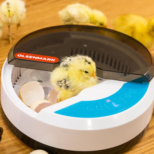 فقاسة البيض الرقمية Digital Egg Incubator for Chicken Poultry Hatcher - Olsenmark