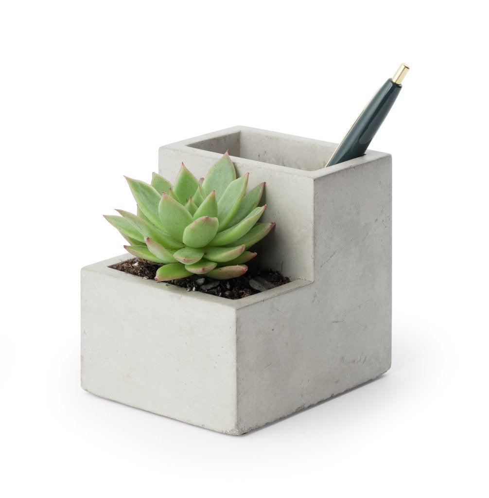 Kikkerland Concrete Small Planter and Pen Holder - Stylish Pen and Plant Holder, Desk Organizer, for Home and Office Use, Ideal for Succulents & Plant Lovers
