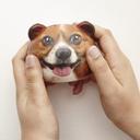Kikkerland Dog Stress Balls - Stress Reliever, Cute Canine Designs Stress Balls, Palm & Wrist Exercise, Soft Texture - SW1hZ2U6MzYxMzc2