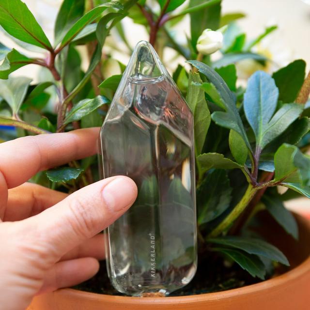 Kikkerland Water From a Crystal - Self Watering Glass Container for plants, Automatic Watering Crystal, Water Drip Irrigation, Self Watering System 3-4 Days, for Indoor/Outdoor Plants - SW1hZ2U6MzYxNDMy