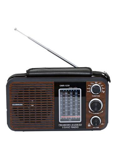 Olsenmark Rechargeable Radio