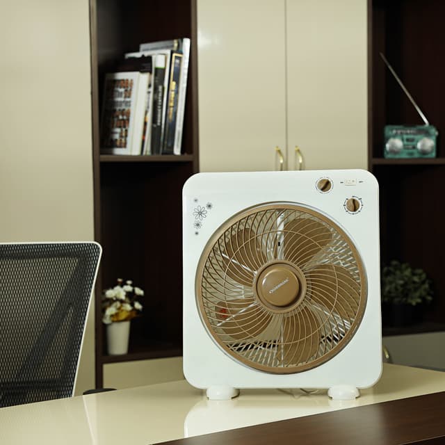 Olsenmark Box Fan, 12 Inch - 3 Speed Setting - 5 Leaf Strong Blade - Timer Function