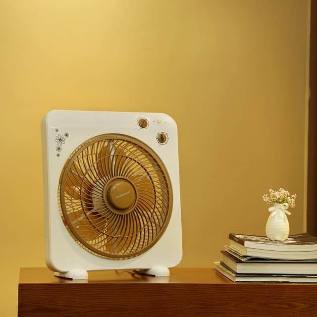 Olsenmark Box Fan, 12 Inch - 3 Speed Setting - 5 Leaf Strong Blade - Timer Function