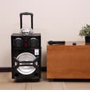 Olsenmark Rechargeable Trolley Speaker With Usb, Sd Card, Fm, Mic, Bluetooth & Remote - Led Light