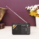 Olsenmark FM - AM - USB - SD - MW - Bluetooth - Aux - Radio 1X100 - Rechargeable Battery - 3.7V 400mAh