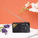 Olsenmark FM - AM - USB - SD - MW - Bluetooth - Aux - Radio 1X100 - Rechargeable Battery - 3.7V 400mAh