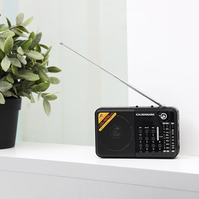 Olsenmark FM - AM - USB - SD - MW - Bluetooth - Aux - Radio 1X100 - Rechargeable Battery - 3.7V 400mAh