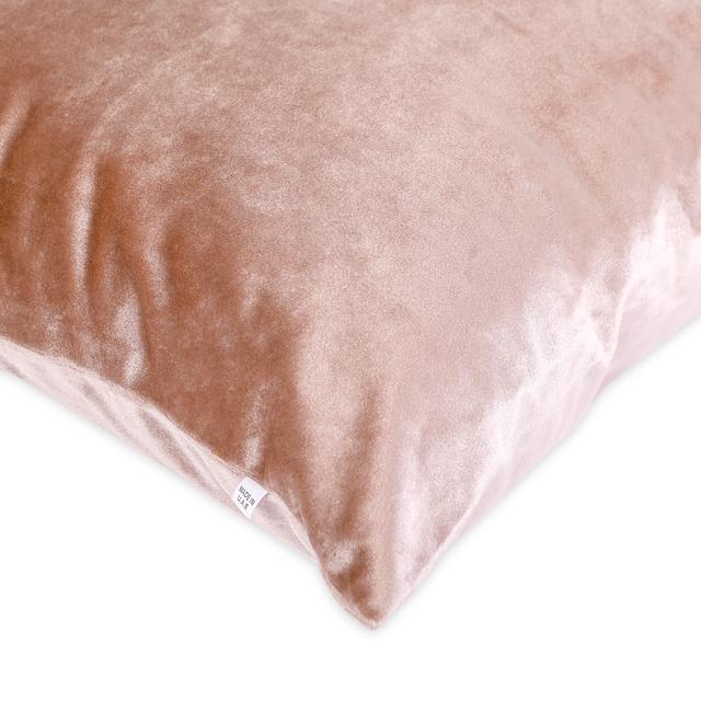 PARRY LIFE Decorative Velvet Cushion Pillow - Decorative Square Pillow Case - Ideal Pillow for Livingroom Sofa Couch Bedroom Car, 44cmx44cm - Square Cushion Pillow, Perfect to Match any Home - SW1hZ2U6NDE3NjU0