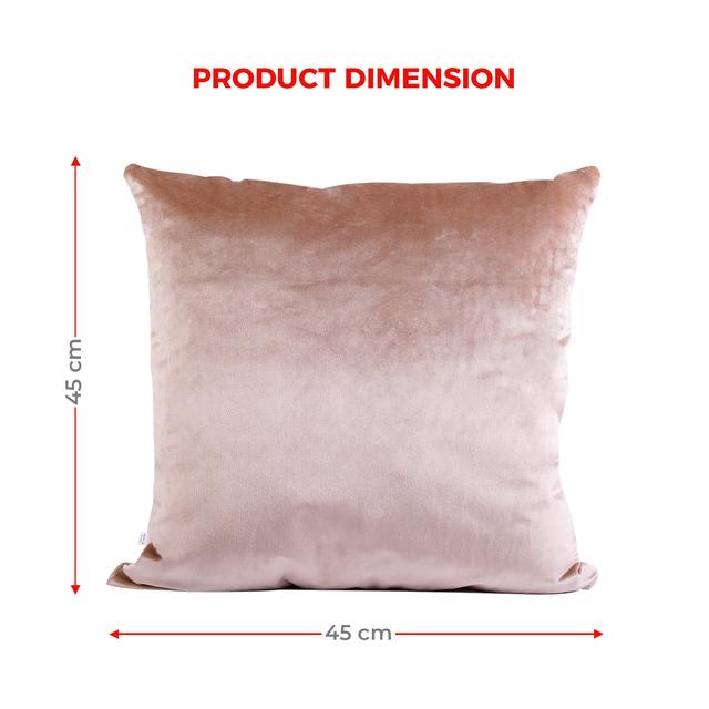 PARRY LIFE Decorative Velvet Cushion Pillow - Decorative Square Pillow Case - Ideal Pillow for Livingroom Sofa Couch Bedroom Car, 44cmx44cm - Square Cushion Pillow, Perfect to Match any Home - SW1hZ2U6NDE3NjU4