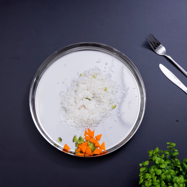 صينية تقديم دائرية ستانلس ستيل - 13 بوصة Stainless Steel Thali Plate - Royalford