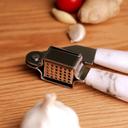 Royalford Marble Designed Abs Stainless Steel Garlic Presser - Easy To Clean - SW1hZ2U6Mzc5NjQ3