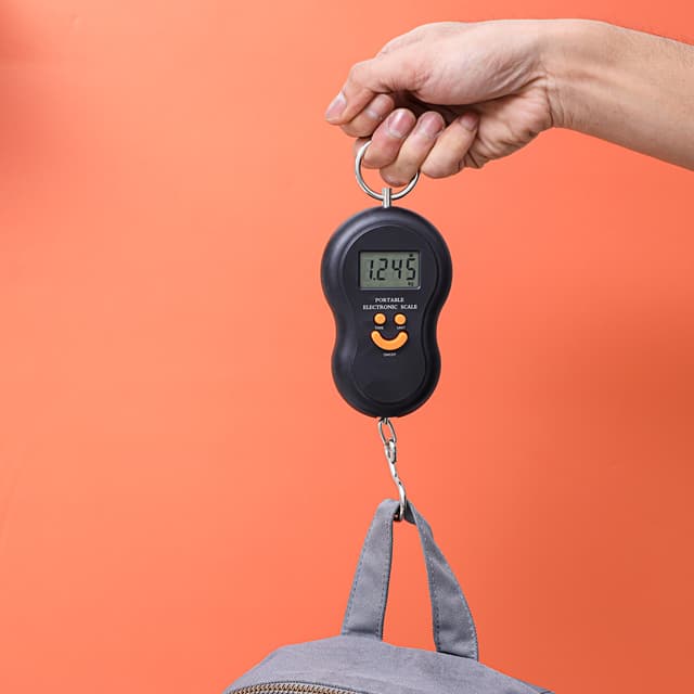 Delcasa Electronic Digital Hanging Scale, 50 Kg Maximum Capacity, Lcd Display, High Precision