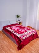 PARRY LIFE Spinacho Single Ply Embossed Blanket 160X220