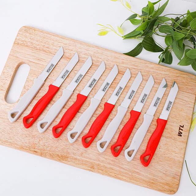 Delcasa 10Pcs Kitchen Paring Knife Set- All Purpose Small Kitchen Knife - Ultra Sharp Stainless - SW1hZ2U6NDQ3NjM0