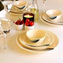 Royalford Melamine Ware Dinner Set, 40 Pcs - SW1hZ2U6NDUyNDEw