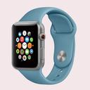 iGuard by Porodo Silicone Loop Watch Band for Apple Watch 44mm / 45mm - Cactus - SW1hZ2U6NTI1OTQ3