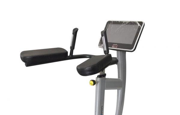 Ta Sport POMMEL TORSO EXERCISE MACHINE PT - SW1hZ2U6NTUyMjk2