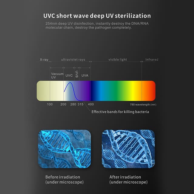 Y3 Plus Smart Toothbrush Holder