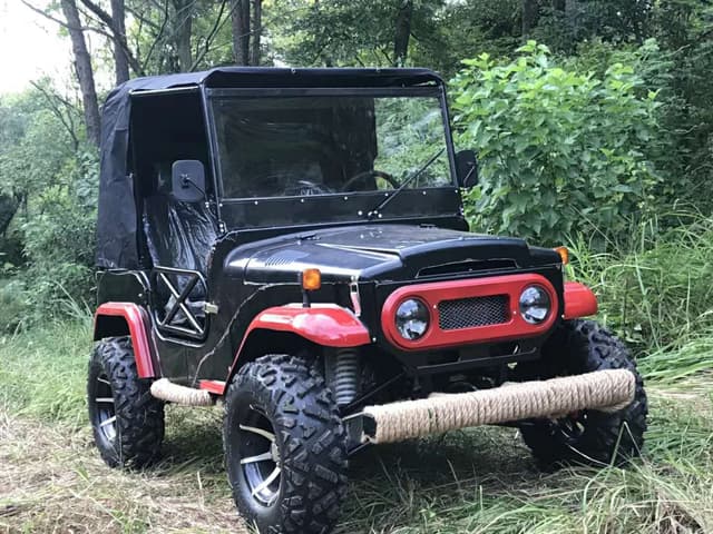 Cool Baby COOLBABY A7-10 Energy Dune Buggy Vehicle UTV Adult Go Kart 4 Wheel Electric Car Key Start 3000W 60V Off Road Electric Jeep Off-road Motorcycle