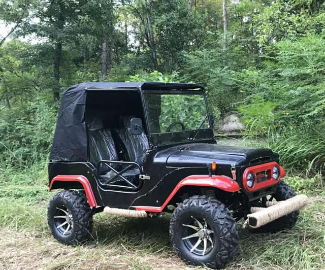 Cool Baby COOLBABY A7-10 Energy Dune Buggy Vehicle UTV Adult Go Kart 4 Wheel Electric Car Key Start 3000W 60V Off Road Electric Jeep Off-road Motorcycle