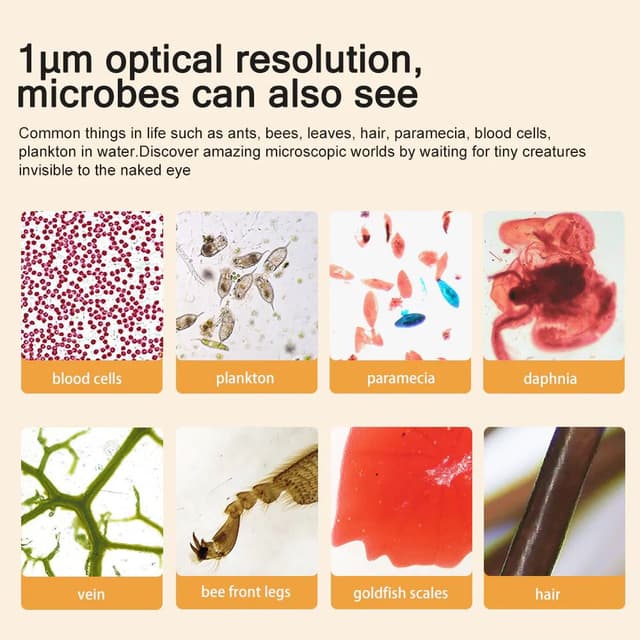 مجهر مايكروسكوب مع شاشة Apexel high resolution Portable Digital Microscope