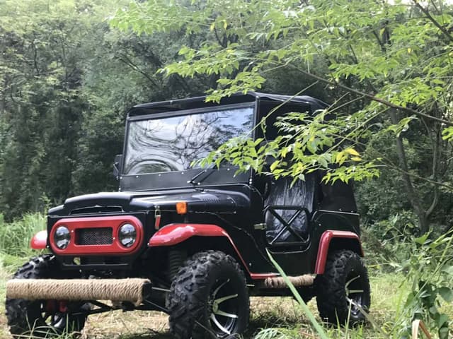 Cool Baby COOLBABY A7-10 Energy Dune Buggy Vehicle UTV Adult Go Kart 4 Wheel Electric Car Key Start 3000W 60V Off Road Electric Jeep Off-road Motorcycle