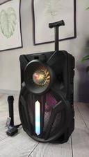 CRONY RX-1225B Portable party speaker 12 inch bull LED portable speaker