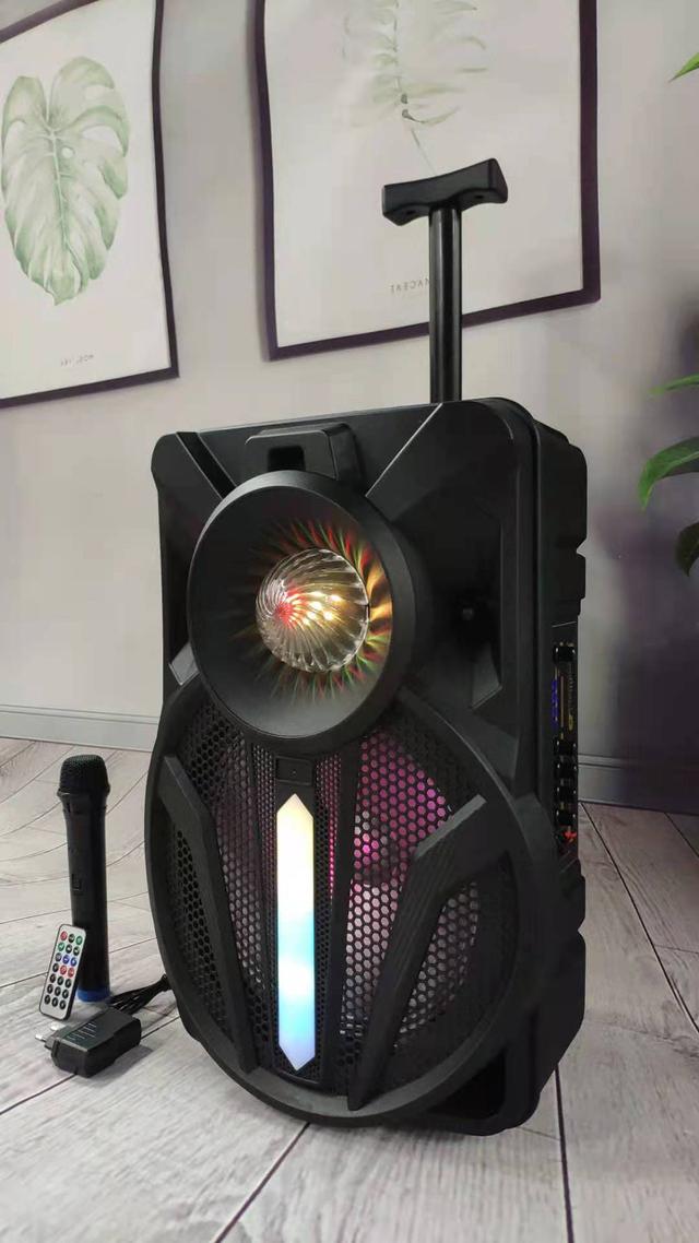 CRONY RX-1225B Portable party speaker 12 inch bull LED portable speaker