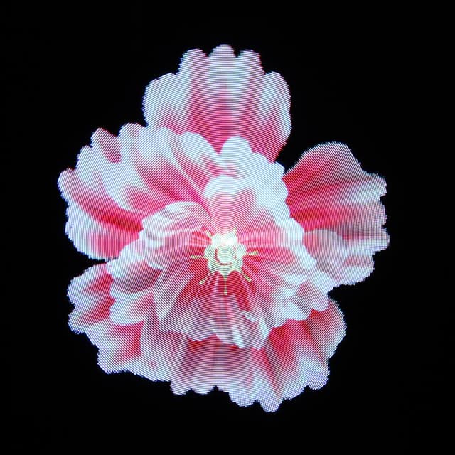 جهاز هولوجرام 18000 ساعة يعرض الصور والفيديو 3D كروني CRONY 3D Hologram Advertising Display Holographic Imaging Naked Eye Fan