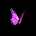 جهاز هولوجرام 18000 ساعة يعرض الصور والفيديو 3D كروني CRONY 3D Hologram Advertising Display Holographic Imaging Naked Eye Fan