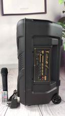 CRONY RX-1225B Portable party speaker 12 inch bull LED portable speaker