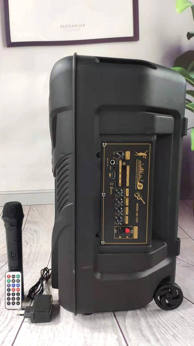 CRONY RX-1225B Portable party speaker 12 inch bull LED portable speaker