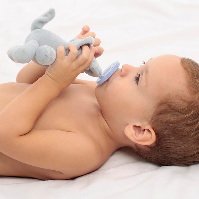 لهاية اطفال مع دمية - الفيل Plush Toy With Soother Sleep Buddy - Minikoioi - SW1hZ2U6NjUyNzIx