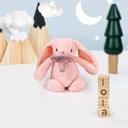 Minikoioi - Plush Toy With Soother - Sleep Buddy Pink Bunny - SW1hZ2U6NjUyODAy