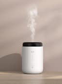 جهاز ترطيب الهواء بالرذاذ الساخن Deerma Distillation Hot Mist Humidifier RZ100 سعة 2 لتر